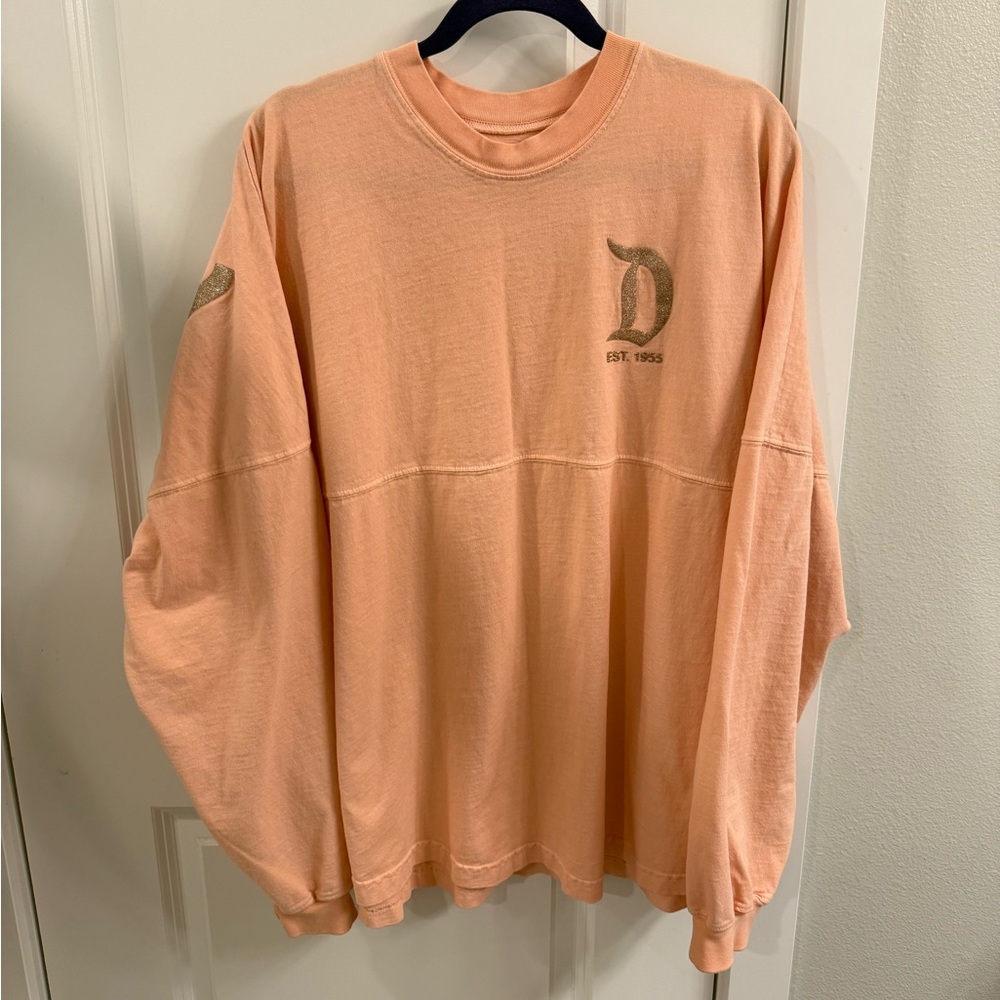 Disneyland Spirit Jersey - XL